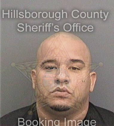 Marcelo Russogonzalez, - Hillsborough County, FL 