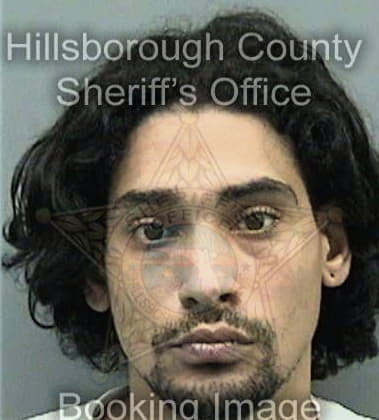 Diego Sepulveda, - Hillsborough County, FL 