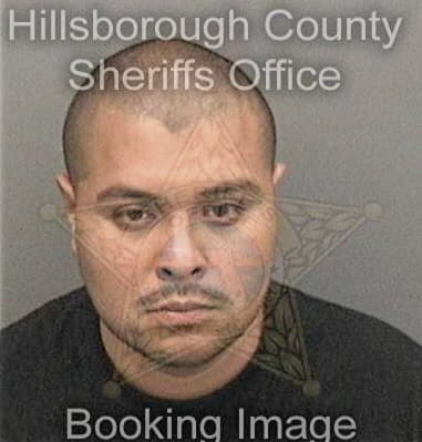 Steven Blevins - Hillsborough County, FL 