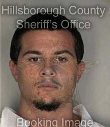 Raul Caraballo, - Hillsborough County, FL 