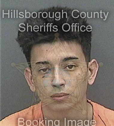 Alexander Cluet - Hillsborough County, FL 