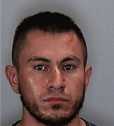 Vicente Garcia-Velazquez, - Manatee County, FL 