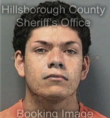 Jesus Guillen, - Hillsborough County, FL 