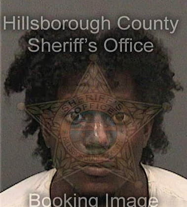 Demarcus Harris, - Hillsborough County, FL 