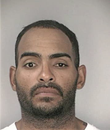 Bryce Mattox - Hillsborough County, FL 