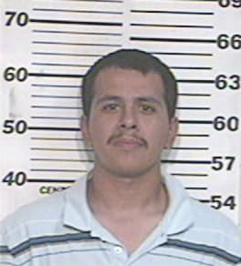 Lauro Mendoza, - Hidalgo County, TX 