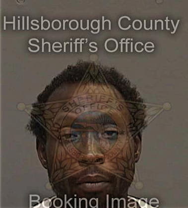 Michael Olon, - Hillsborough County, FL 