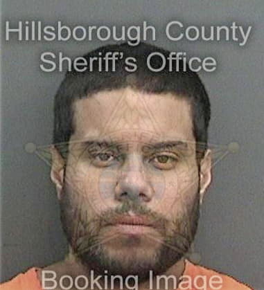 William Arce, - Hillsborough County, FL 