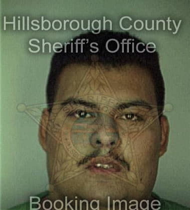 Jorge Contrerasramirez, - Hillsborough County, FL 