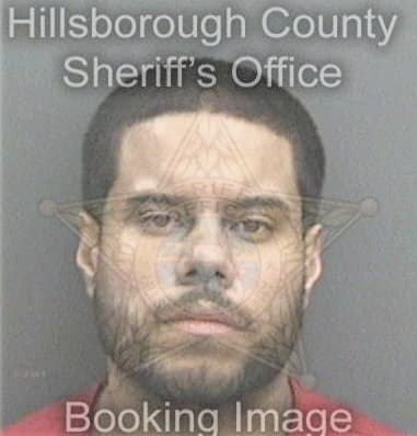 Ariel Fernandezbermudez, - Hillsborough County, FL 