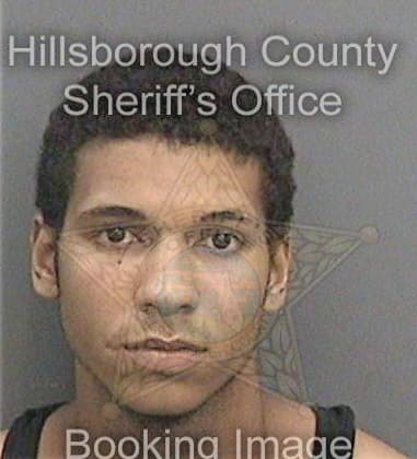 David Ferrer, - Hillsborough County, FL 