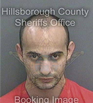 Devbir Kalsi, - Hillsborough County, FL 