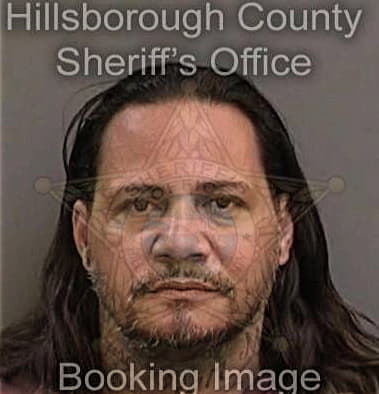 Reinaldo Travieso, - Hillsborough County, FL 