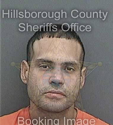 Marques Wiggins - Hillsborough County, FL 