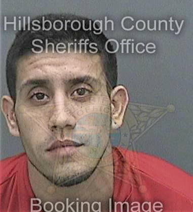 Timothy Wilson, - Hillsborough County, FL 