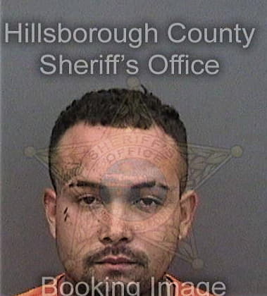 Justin Townsend, - Hillsborough County, FL 