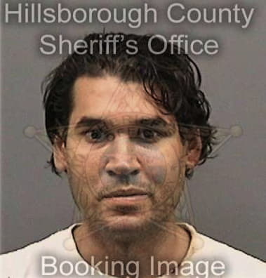 George Fallis, - Hillsborough County, FL 