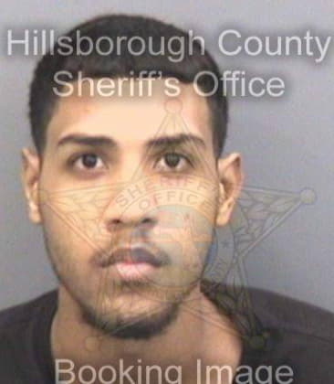 Donnie Fields, - Hillsborough County, FL 