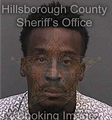 Ronald Hall, - Hillsborough County, FL 