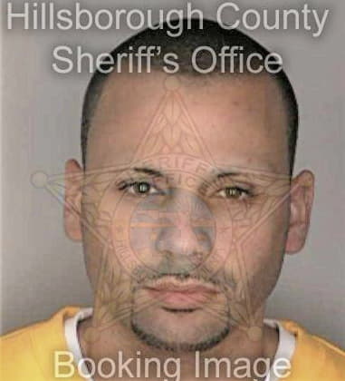 Craig Shapiro, - Hillsborough County, FL 