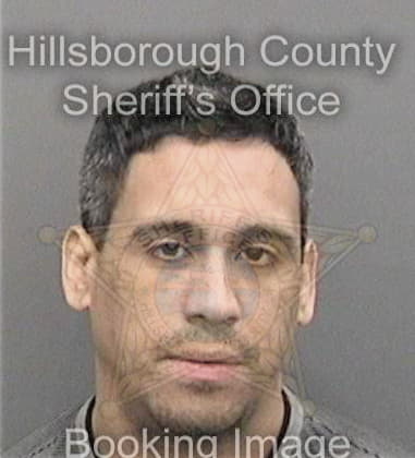 Amaury Alvarezfontanez, - Hillsborough County, FL 