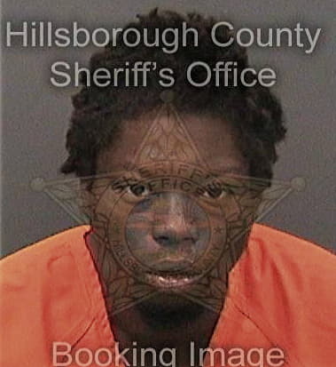 Gregory Bownes - Hillsborough County, FL 
