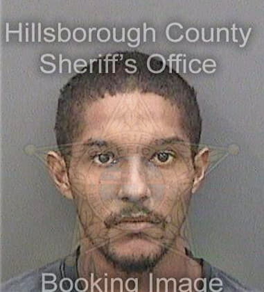 Romeo Bradley - Hillsborough County, FL 