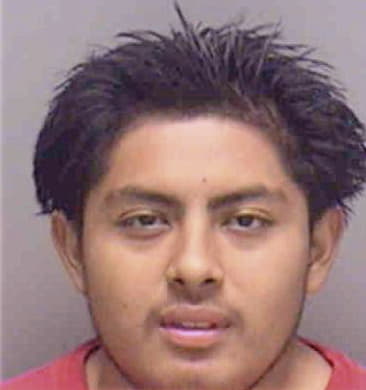 Antonio Gonzales, - Lee County, FL 