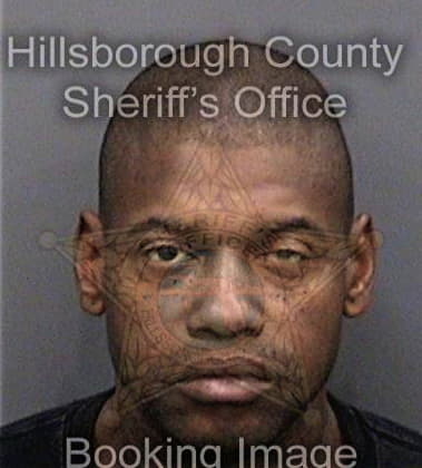 Ronald Hamilton, - Hillsborough County, FL 