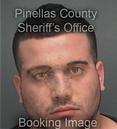 Michael Johnson, - Pinellas County, FL 