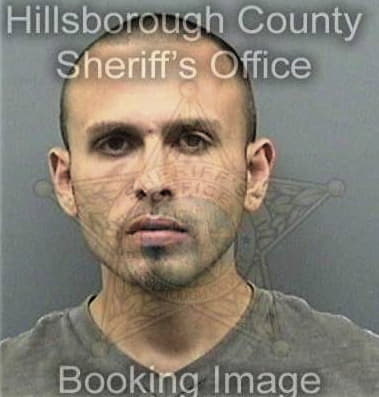 James Lopezdiaz, - Hillsborough County, FL 