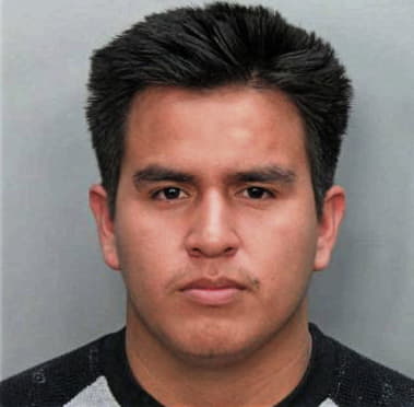 Luis Pineda-Palacios, - Dade County, FL 