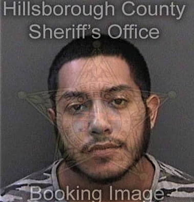 Ernesto Serra, - Hillsborough County, FL 