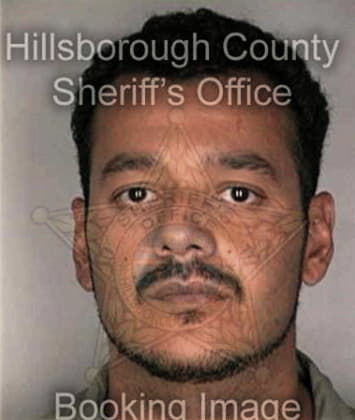 Timothy Christian - Hillsborough County, FL 