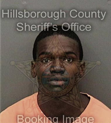 Anthony Higgans, - Hillsborough County, FL 