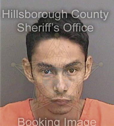 Chase Hill, - Hillsborough County, FL 