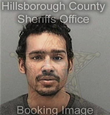 Valentin Ramirezlorenzo, - Hillsborough County, FL 