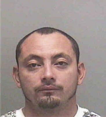 Mauro Rosas-Garcia, - Lee County, FL 