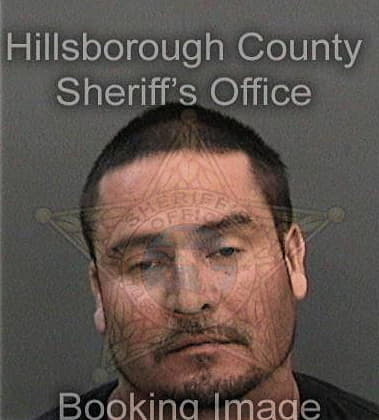 Steven Scott, - Hillsborough County, FL 