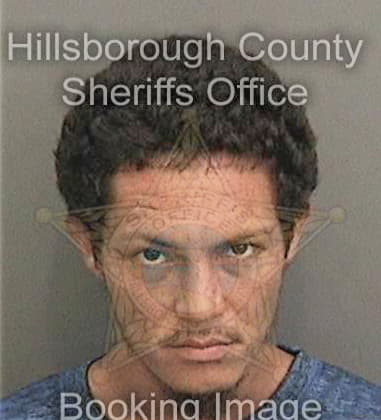 David Smith, - Hillsborough County, FL 