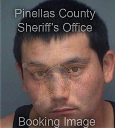 James Valentine, - Pinellas County, FL 