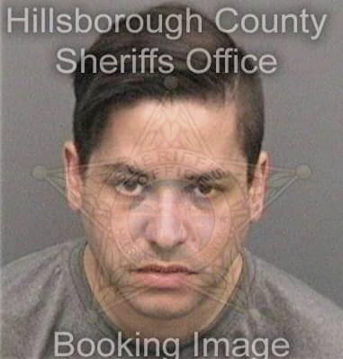 Sebastian Bautistavega, - Hillsborough County, FL 