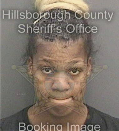 Lisa Brinson - Hillsborough County, FL 