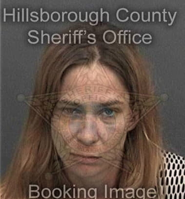 Ashley Mesa - Hillsborough County, FL 