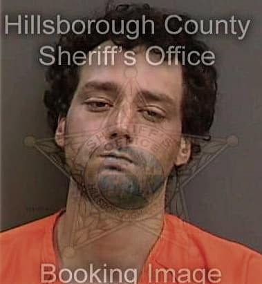 David Neiswonger, - Hillsborough County, FL 