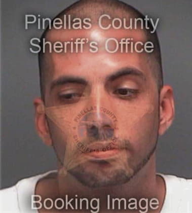 Timothy Otto, - Pinellas County, FL 