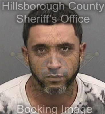 Daniel Perez, - Hillsborough County, FL 