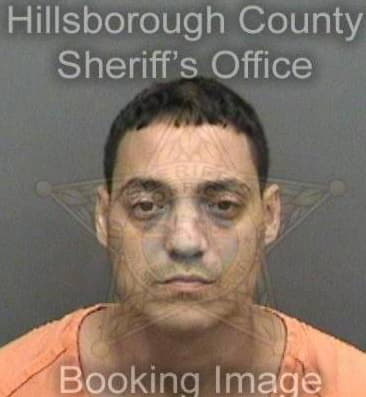 Livan Rodriguezhimely, - Hillsborough County, FL 