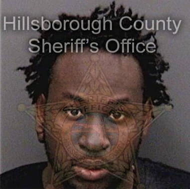 Terrance Williams, - Hillsborough County, FL 