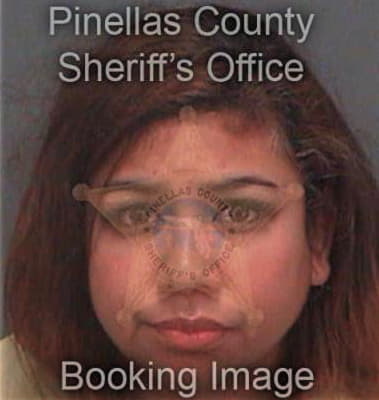 Sandra Aguirrereyes, - Pinellas County, FL 